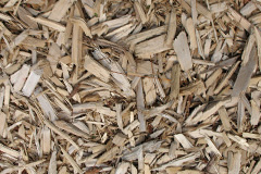 biomass boilers Carpalla