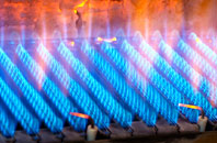 Carpalla gas fired boilers